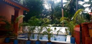 a bunch of palm trees inront of a swimming pool at HERITAGE 7BHK VILLA WITH PRIVATE POOL close to BAGA BEACH in Parra