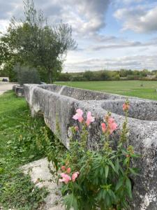 un mur en pierre avec des fleurs roses dans l'herbe dans l'établissement Domaine de la Laigne - Spa, à Asnières-la-Giraud