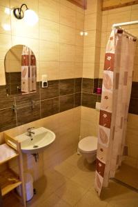 a bathroom with a sink and a toilet at Nad Stawem in Powidz