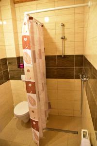 a bathroom with a shower with a toilet and a shower curtain at Nad Stawem in Powidz