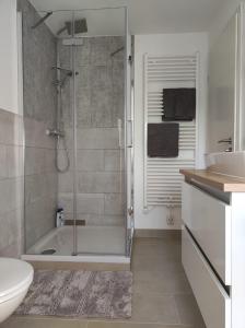 ein Bad mit einer Dusche, einem WC und einem Waschbecken in der Unterkunft Hof Gruebler in Klipphausen