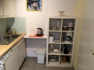 eine Küche mit einem Waschbecken und einem Regal mit Geschirr in der Unterkunft Apartment Philadelphia Vienna in Wien