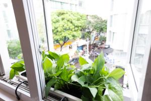 una finestra con un mucchio di piante sul davanzale di una finestra di The One Premium Hotel ad Ho Chi Minh