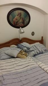 Postel nebo postele na pokoji v ubytování Penzion Na koštěti - pejsci zdarma