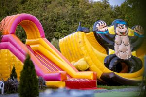 a water slide with a toy monkey on it at CASA HOBAN in Baia Mare
