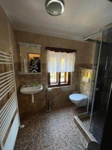 y baño con lavabo, ducha y aseo. en Penzion Dřevák, en Jetřichovice