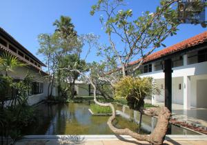 Vườn quanh Thaala Bentota