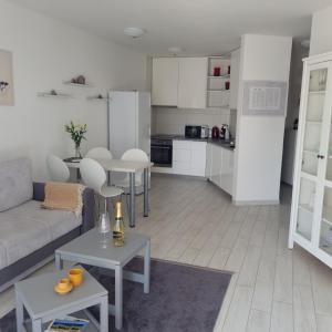 Kuchnia lub aneks kuchenny w obiekcie Apartman Magnolija Umag