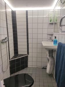 a bathroom with a sink and a shower and a toilet at Linus och Lottas Frigga in Hällingsjö