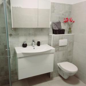 Łazienka w obiekcie Apartman Magnolija Umag