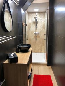 a bathroom with a sink and a shower with a tub at Appartements chez Delphine et Guillaume au coeur de Semur en Auxois in Semur-en-Auxois