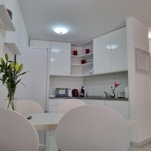 Kuchnia lub aneks kuchenny w obiekcie Apartman Magnolija Umag