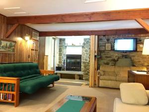 a living room with a green couch and a tv at Slide Mountain Forest House in Oliverea