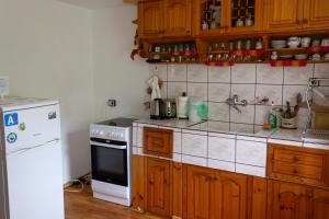 a kitchen with a stove and a white refrigerator at Apartment R. Dermendzhiev in Melnik