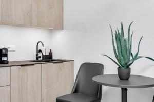 Kuchyň nebo kuchyňský kout v ubytování Hotel Vera