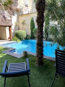 a palm tree and two chairs next to a swimming pool at Maison charmante à Libourne avec piscine privéea in Libourne