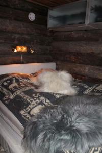 Dos perros acostados en una cama en una habitación en Kelo Aurora luxury cabin, en Kilpisjärvi