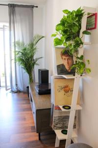 ローマにあるEufonia Vinyl Friendly Apartmentの棚に植物のある机が備わる部屋