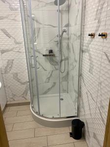 W łazience znajduje się prysznic ze szklanymi drzwiami. w obiekcie Szmaragdowy Zakątek w Głogowie