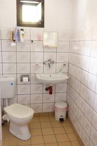 a bathroom with a toilet and a sink at Apartment R. Dermendzhiev in Melnik