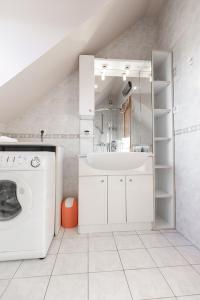 uma casa de banho branca com um lavatório e uma máquina de lavar roupa em Suzana Iron's apartment em Ljubljana