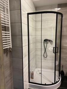 a shower with a glass door in a bathroom at Apartamenty Bezrzecze in Szczecin