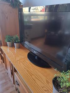 una televisione su un supporto di legno con piante in vaso di Tranquila habitación a Las Palmas de Gran Canaria