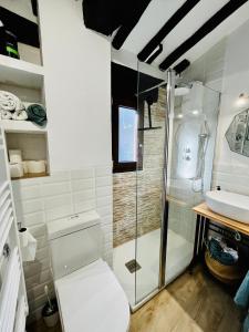 een badkamer met een douche, een toilet en een wastafel bij La casita del rio in Soto en Cameros