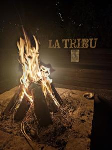 Fotografie z fotogalerie ubytování La Tribu Ecolodge y Camping v destinaci Algarrobo