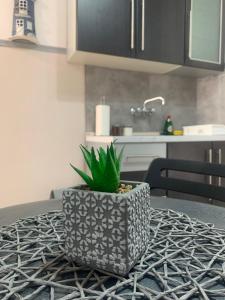 Η κουζίνα ή μικρή κουζίνα στο Petra's house