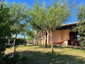 una vista de la casa desde el jardín en Domo Sara, en Orosei