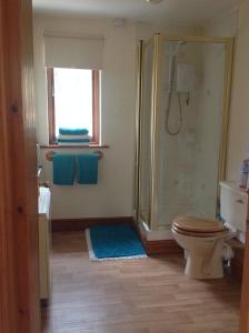 a bathroom with a shower and a toilet and a window at Ty Twt - complete holiday home in Llandysul