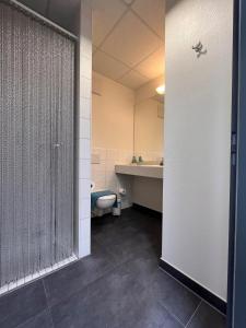 a bathroom with a shower and a toilet and a sink at Hotel Burgholz in Stepprath