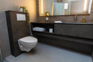 bagno con servizi igienici e lavandino con specchio di Hotel Halond ad Akureyri