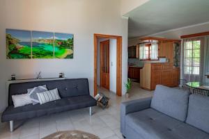 uma sala de estar com um sofá e uma cozinha em Golden Flower's Apartment em Poros