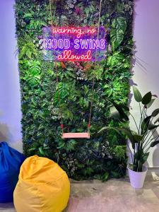 a green wall with a sign that reads mood swing announced at Swing & Pillows @ Beach Street in George Town