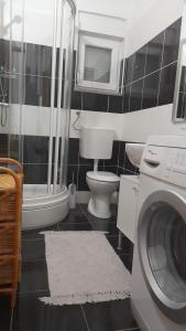 La salle de bains est pourvue d'un lave-linge et de toilettes. dans l'établissement Apartmani Ivanković, à Karlobag