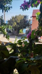 Vonkajšia záhrada v ubytovaní Apartmani Ivanković