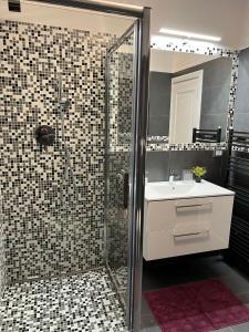 La salle de bains est pourvue d'une douche, d'un lavabo et d'un miroir. dans l'établissement Alice Residence, à Sibiu