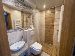 a bathroom with a toilet and a sink and a shower at Willa Grand Krzesanica in Kościelisko +49 photos