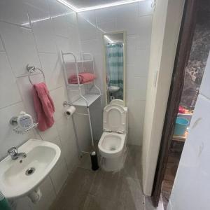a small bathroom with a toilet and a sink at Mini Loft 2 en El CIrculo in Guatemala