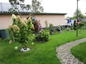 a garden with a small tree in the grass at Ferienwohnung-Schluecke in Bad Frankenhausen