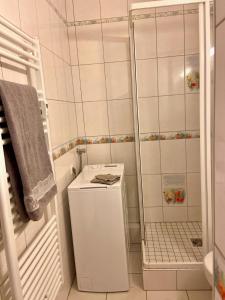 a white bathroom with a small refrigerator and a shower at Studio le pied de Bœuf in Wissembourg