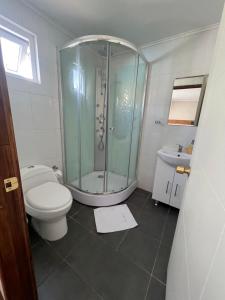 a bathroom with a shower and a toilet and a sink at Hostal Reymer Patagonia in Puerto Natales