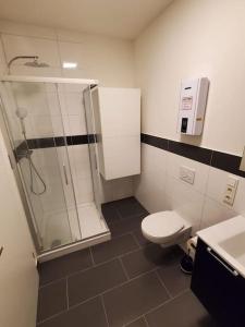 a bathroom with a shower and a toilet and a sink at Mosel-Auszeit in Klüsserath