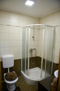 a bathroom with a shower with a toilet and a sink at Holiday home Maša - Kupres in Kupres