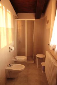 y baño con ducha, aseo y lavamanos. en Agriturismo Regina di fiori, en Monte Porzio