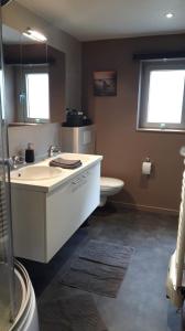 a bathroom with a sink and a toilet at Terrasses de Malmedy - Duplex 455 in Malmedy +30 photos