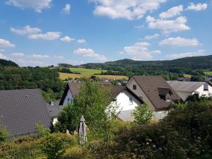 eine Gruppe von Häusern in einem Dorf mit Bäumen in der Unterkunft Ferienwohnung Jansen in Kirchhundem