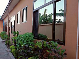a building with windows and plants on the side of it at California Lodge in Bagamoyo